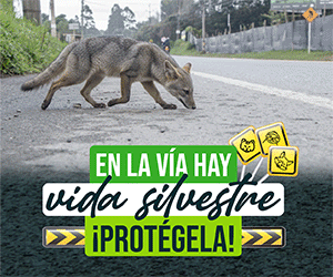 Publicidad Cornare Vida Silvestre